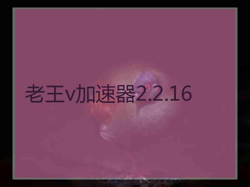 老王v加速器2.2.16