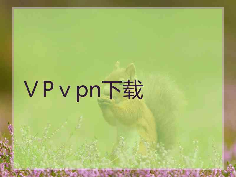 ⅤPⅴpn下载