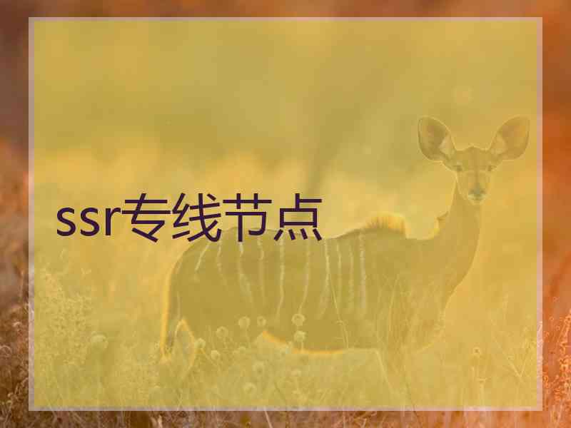 ssr专线节点