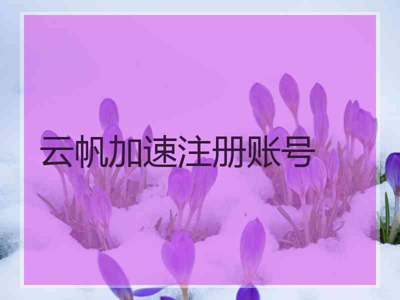 云帆加速注册账号