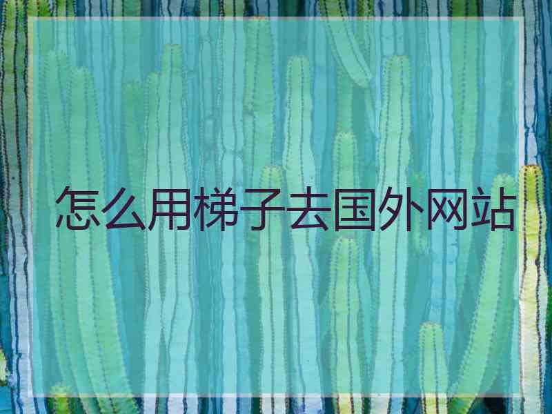 怎么用梯子去国外网站