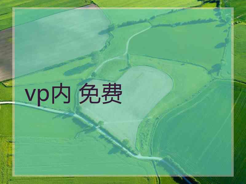 vp内 免费