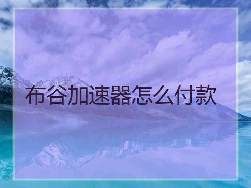 布谷加速器怎么付款