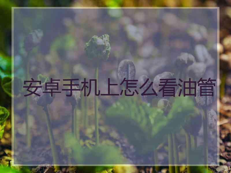 安卓手机上怎么看油管