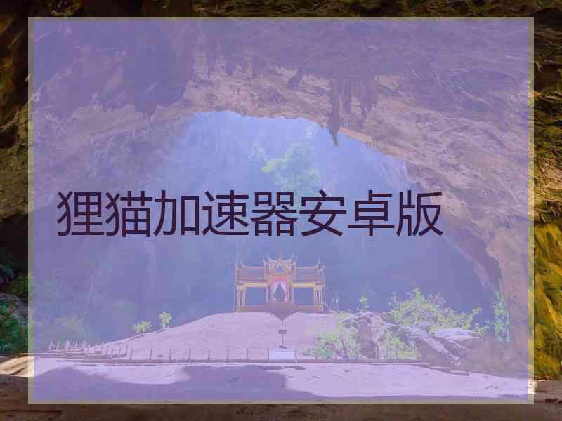 狸猫加速器安卓版