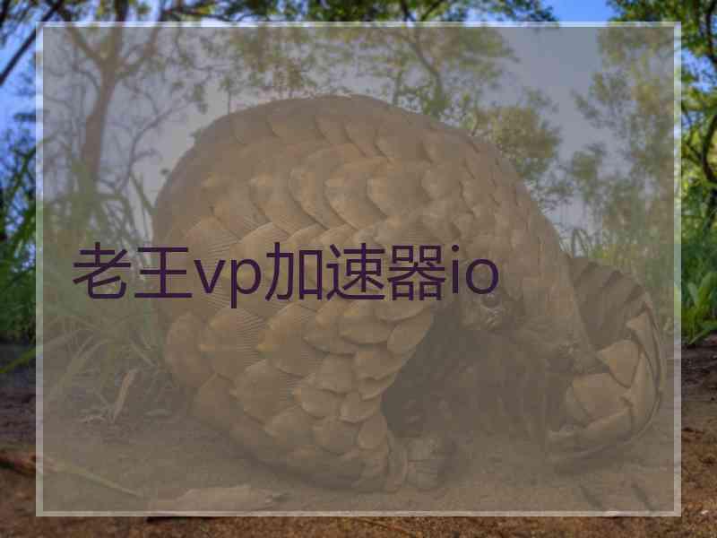 老王vp加速器io