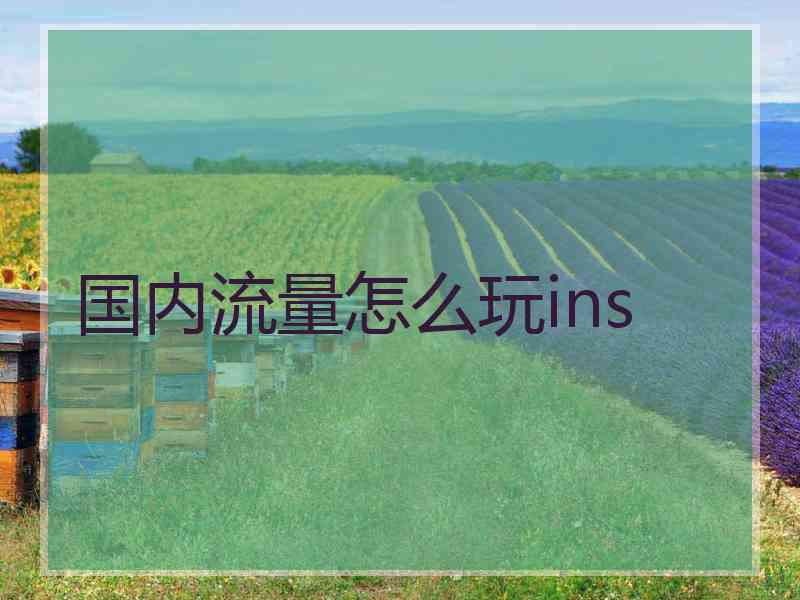 国内流量怎么玩ins