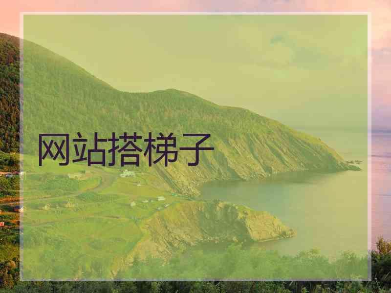 网站搭梯子