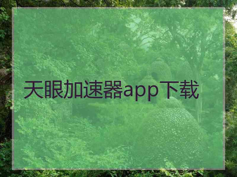 天眼加速器app下载
