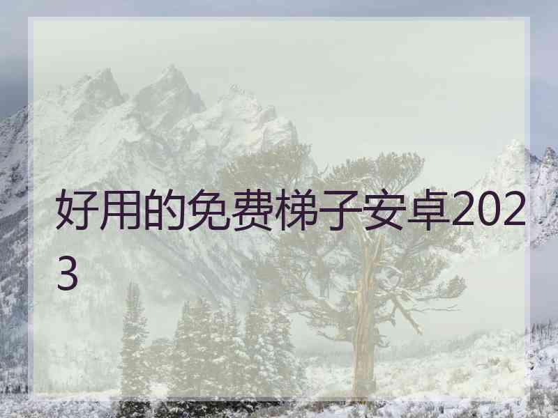 好用的免费梯子安卓2023