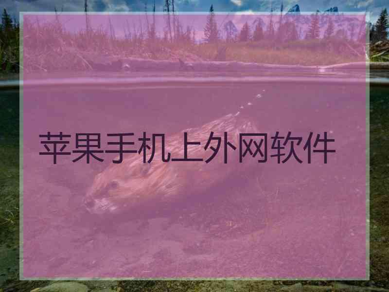 苹果手机上外网软件