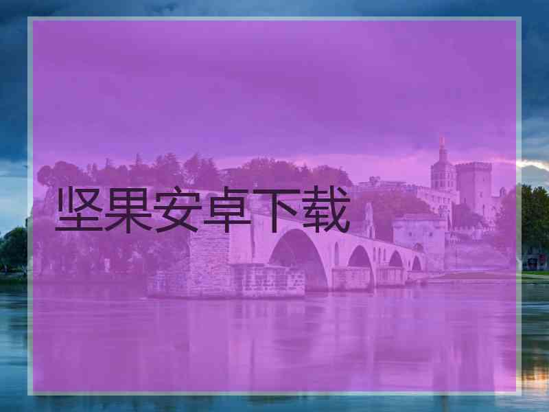 坚果安卓下载