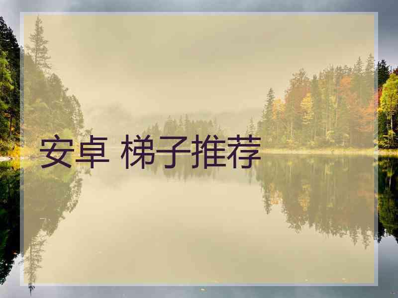 安卓 梯子推荐