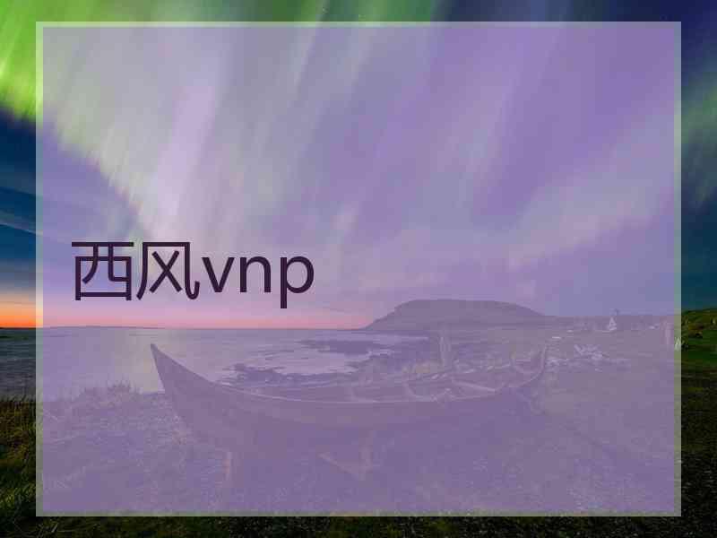 西风vnp