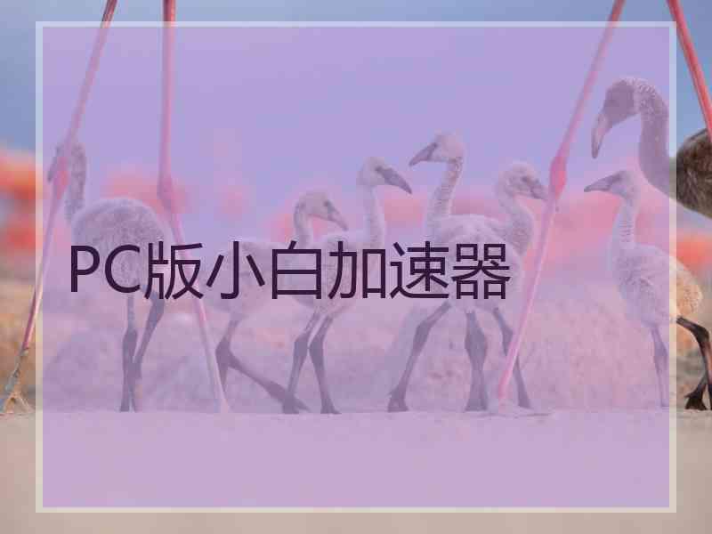 PC版小白加速器