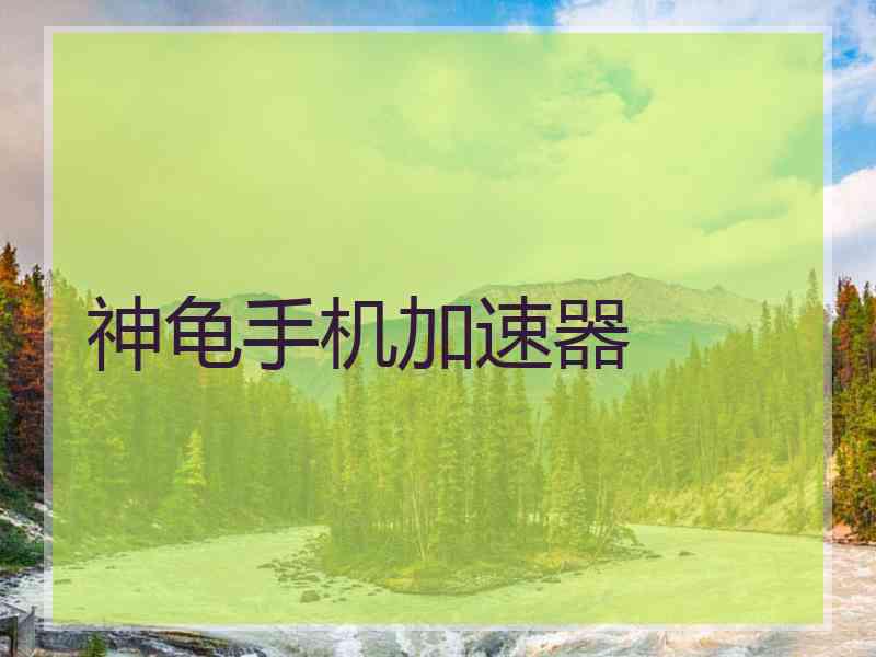 神龟手机加速器