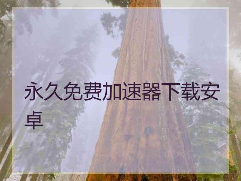 永久免费加速器下载安卓