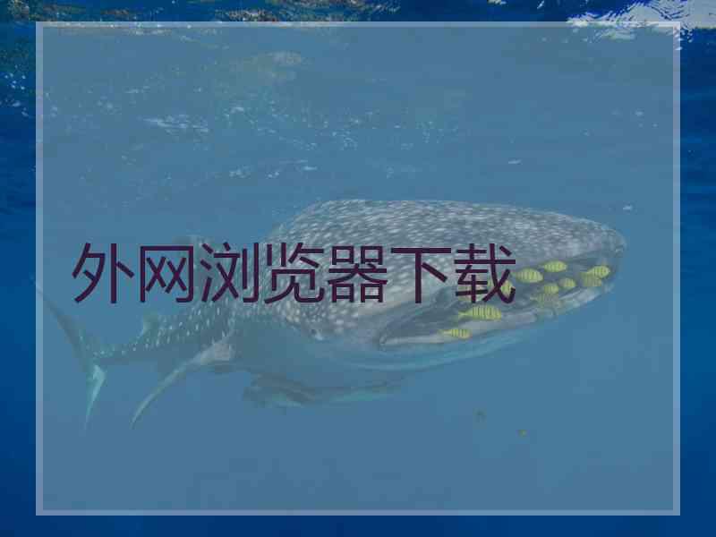 外网浏览器下载