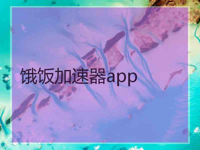 饿饭加速器app
