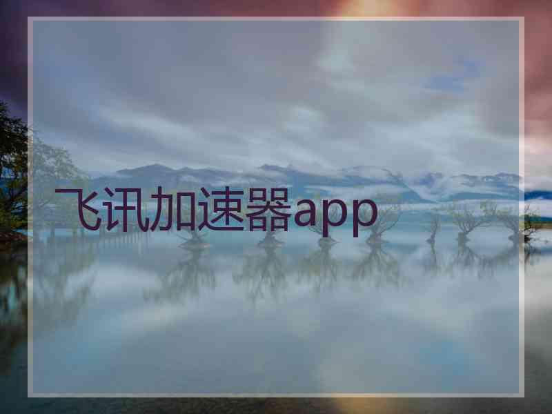 飞讯加速器app