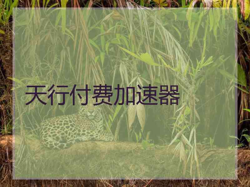 天行付费加速器