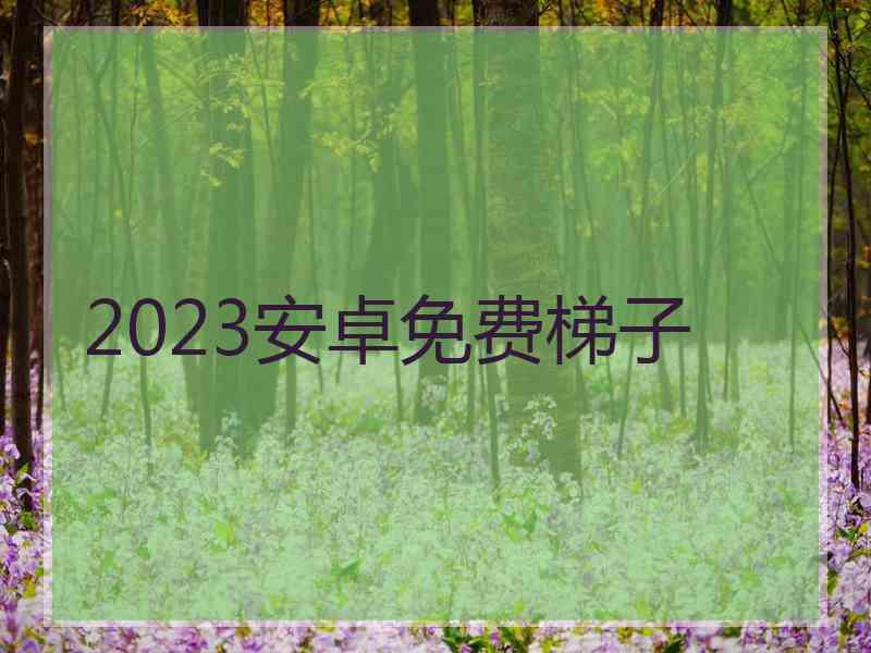 2023安卓免费梯子