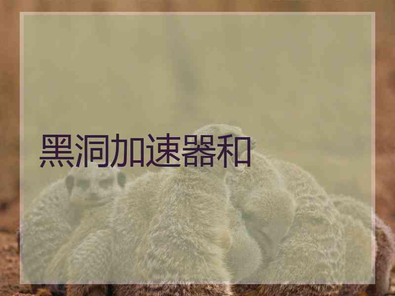 黑洞加速器和