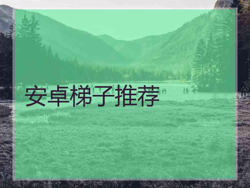 安卓梯子推荐