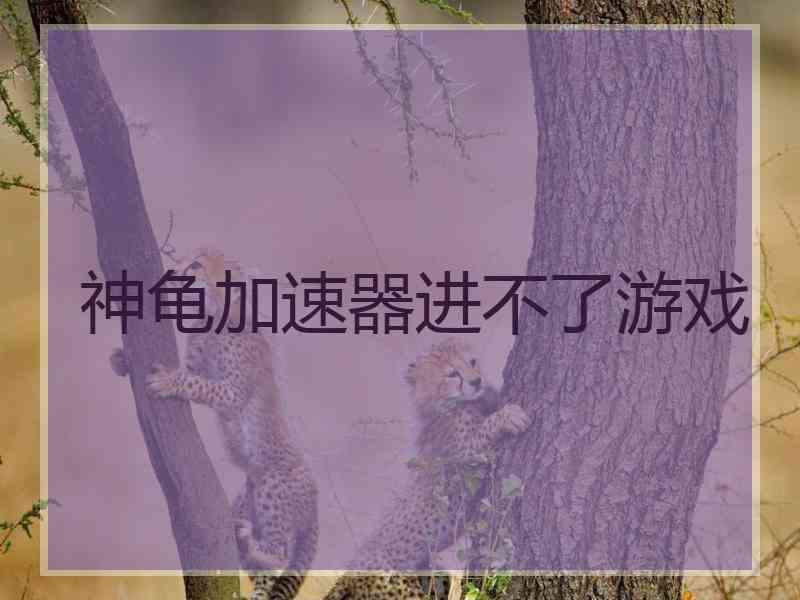 神龟加速器进不了游戏