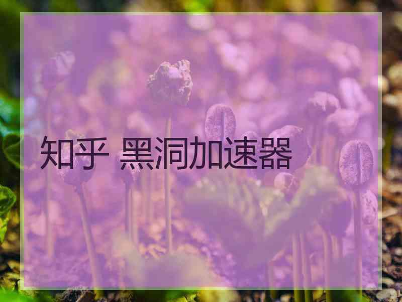 知乎 黑洞加速器