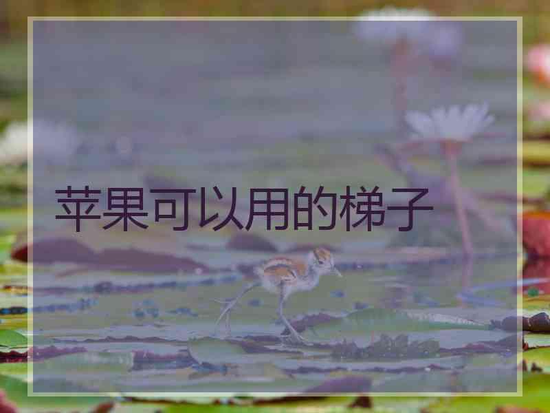 苹果可以用的梯子