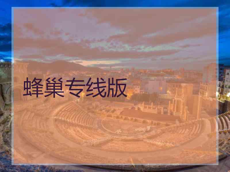 蜂巢专线版