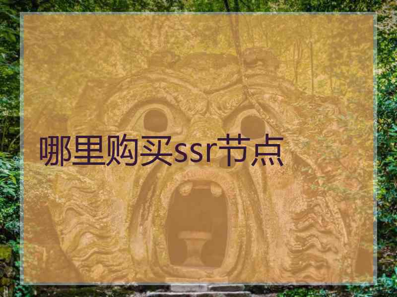 哪里购买ssr节点