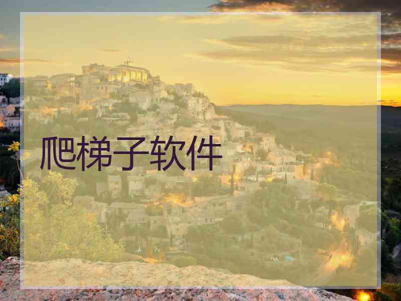 爬梯子软件