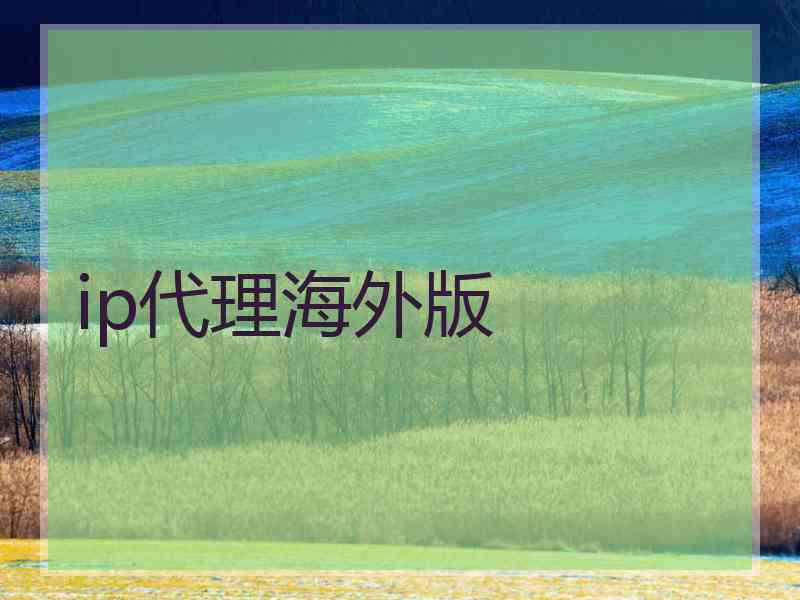 ip代理海外版