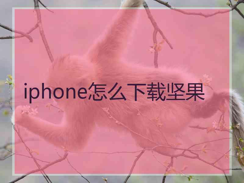 iphone怎么下载坚果