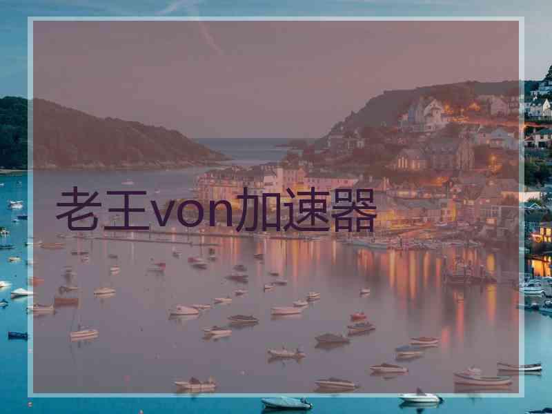 老王von加速器