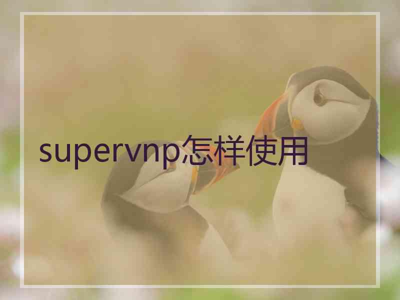 supervnp怎样使用