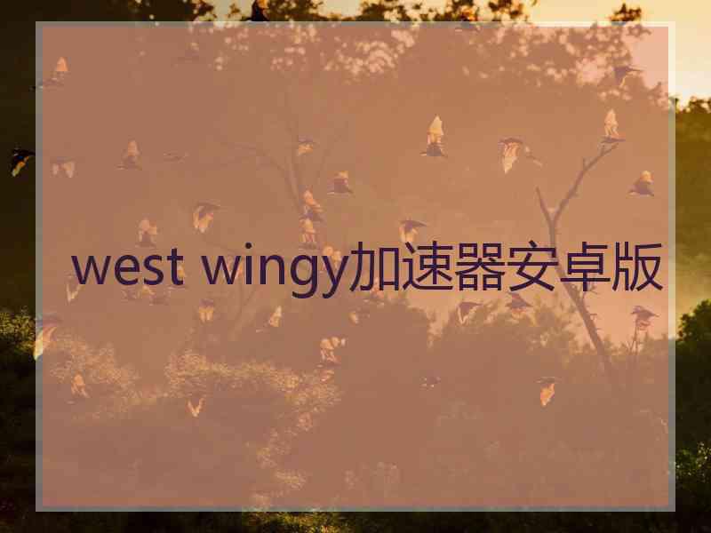 west wingy加速器安卓版