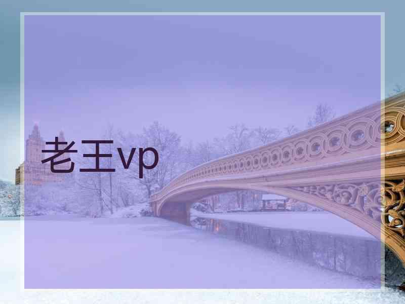 老王vp