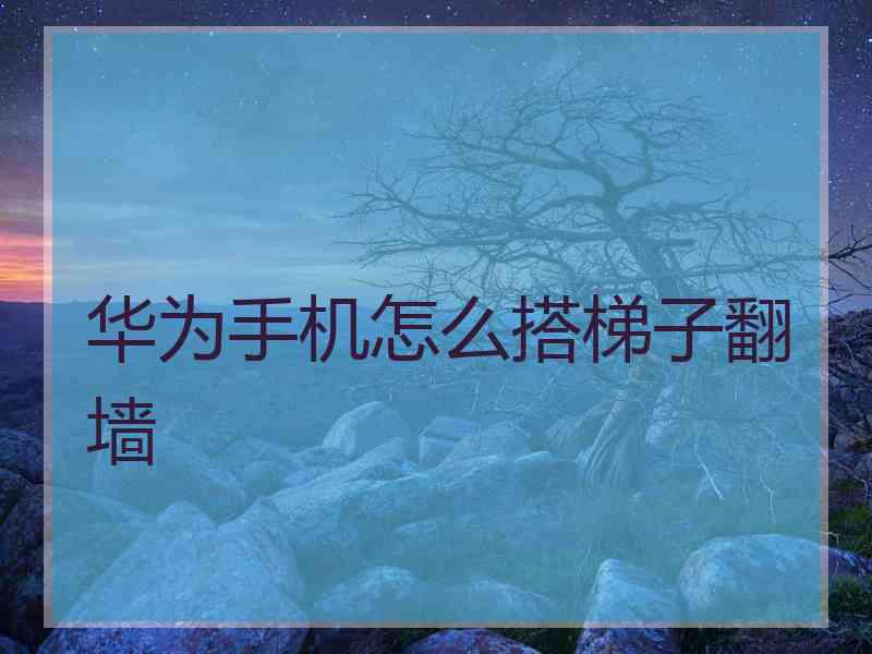 华为手机怎么搭梯子翻墙