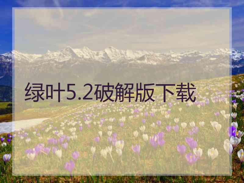 绿叶5.2破解版下载