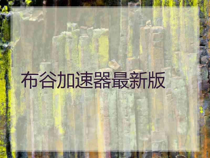 布谷加速器最新版
