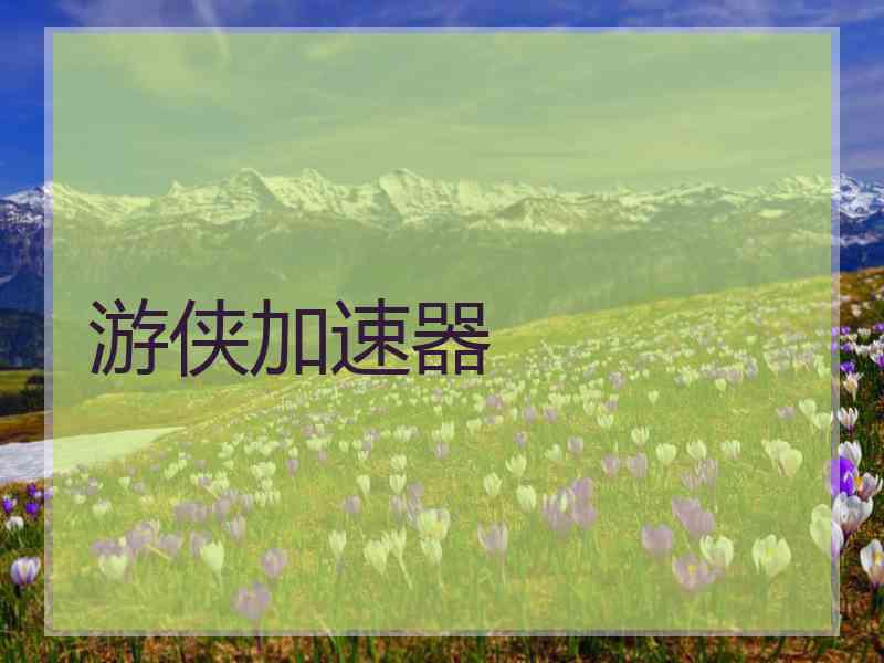 游侠加速器