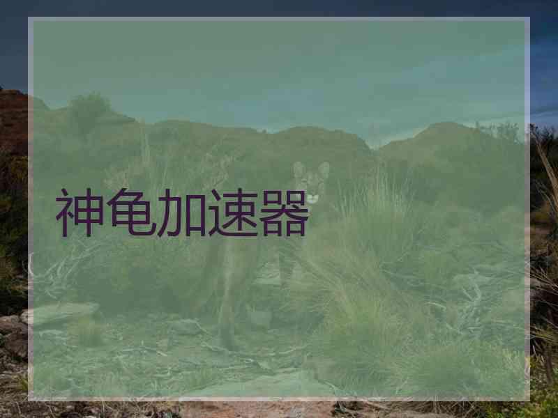 神龟加速器