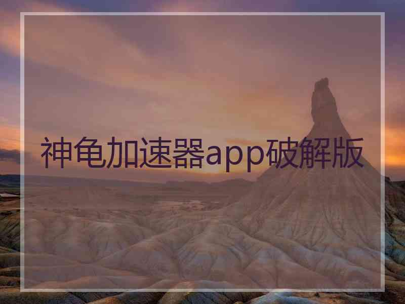 神龟加速器app破解版