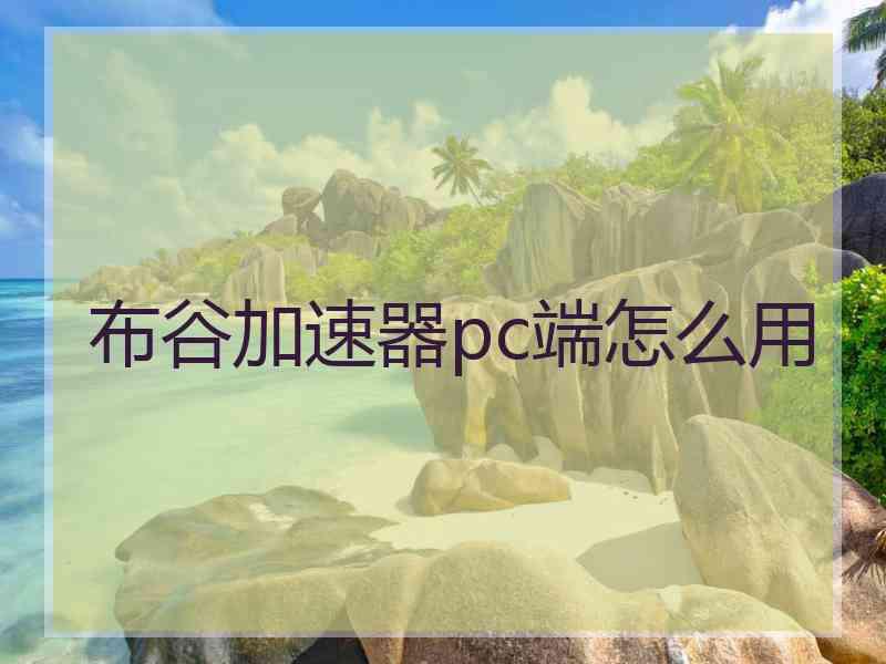 布谷加速器pc端怎么用