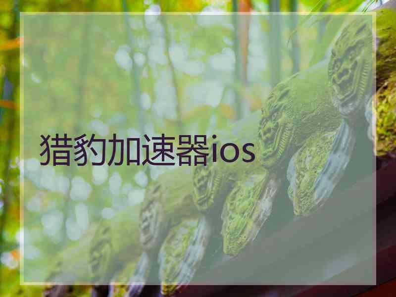 猎豹加速器ios
