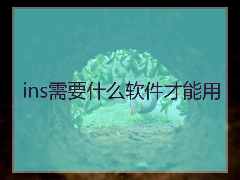 ins需要什么软件才能用