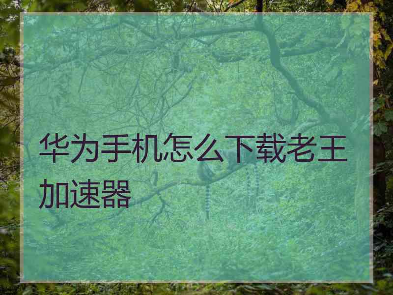 华为手机怎么下载老王加速器